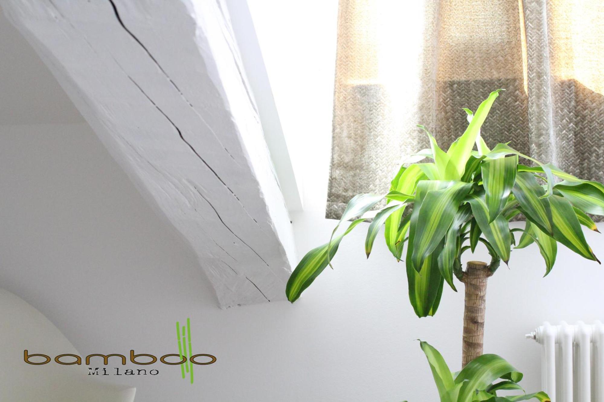 Appartement Bamboo Milano Isonzo Extérieur photo